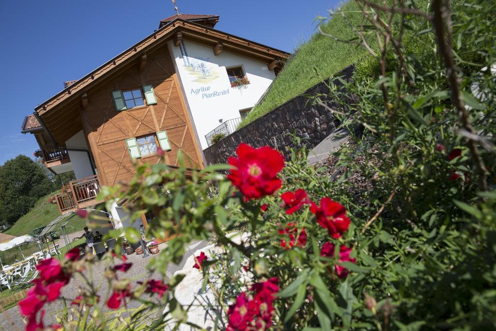 Agriturismo Pianrestel Cavalese Ngoại thất bức ảnh
